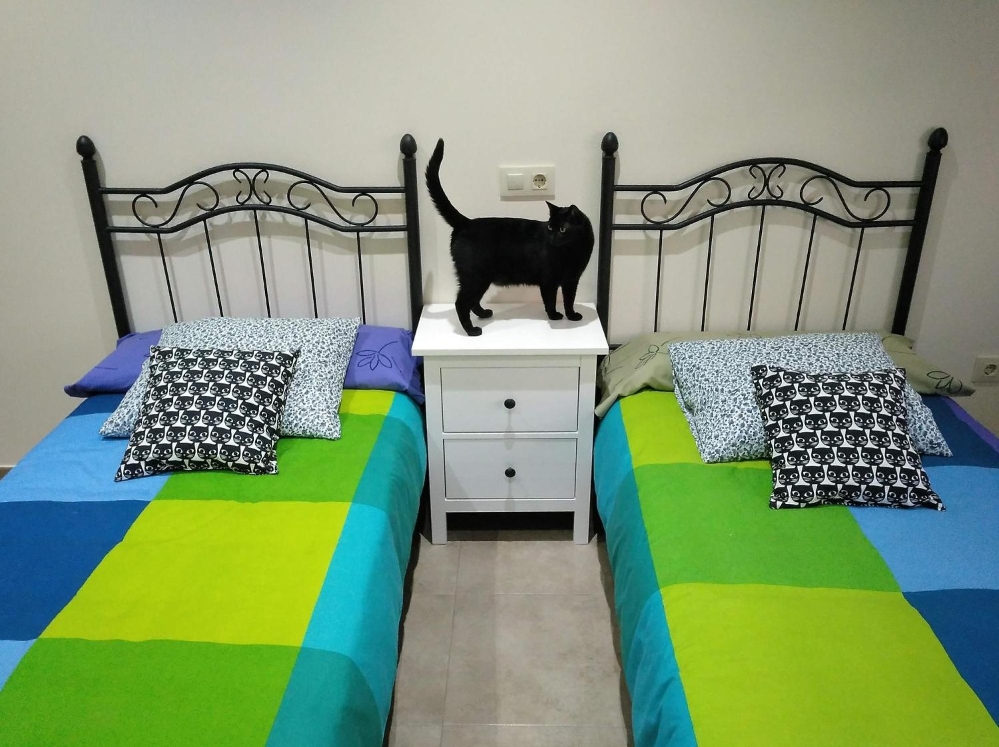 Casa Rural El Gato Negro Trefacio 외부 사진