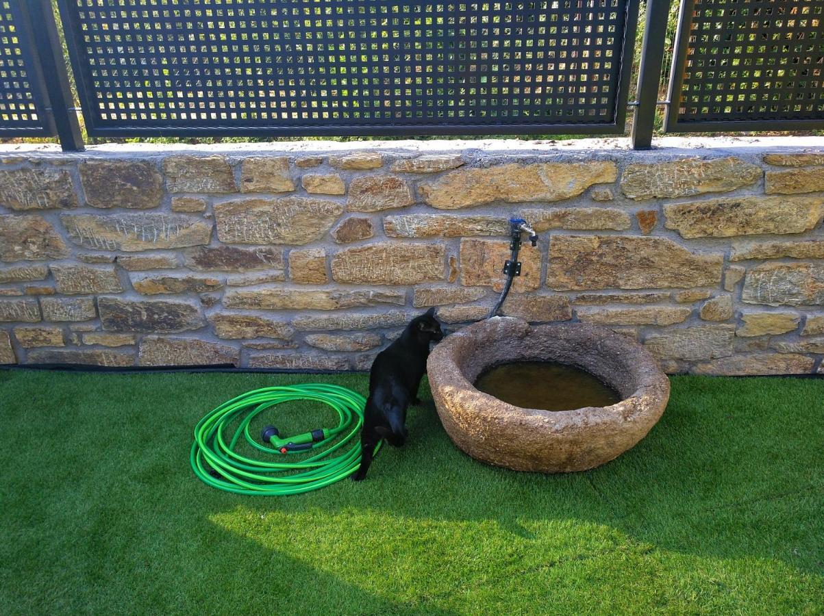 Casa Rural El Gato Negro Trefacio 외부 사진