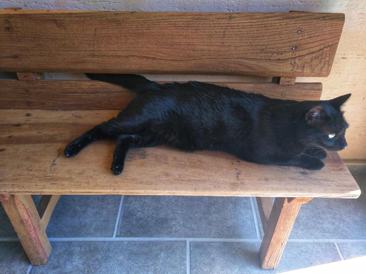Casa Rural El Gato Negro Trefacio 외부 사진